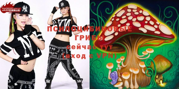 винт Алексин