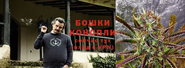 винт Алексин