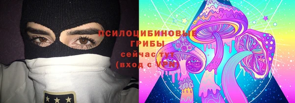 винт Алексин