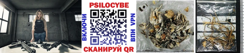 Галлюциногенные грибы GOLDEN TEACHER закладка omg ONION Краснообск